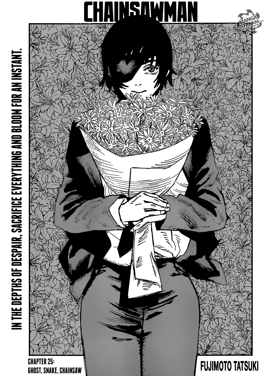 Read Chainsaw Man EN Manga Online