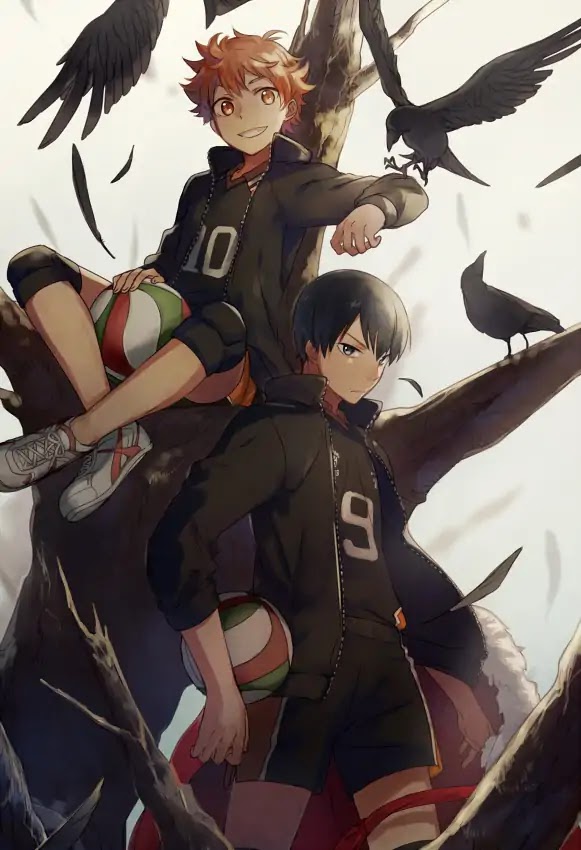 Read Haikyu!! EN Manga Online