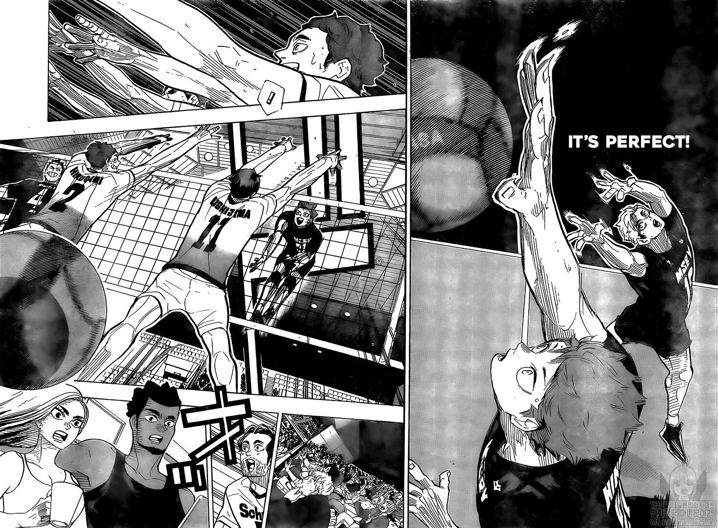 Read Haikyu!! EN Manga Online