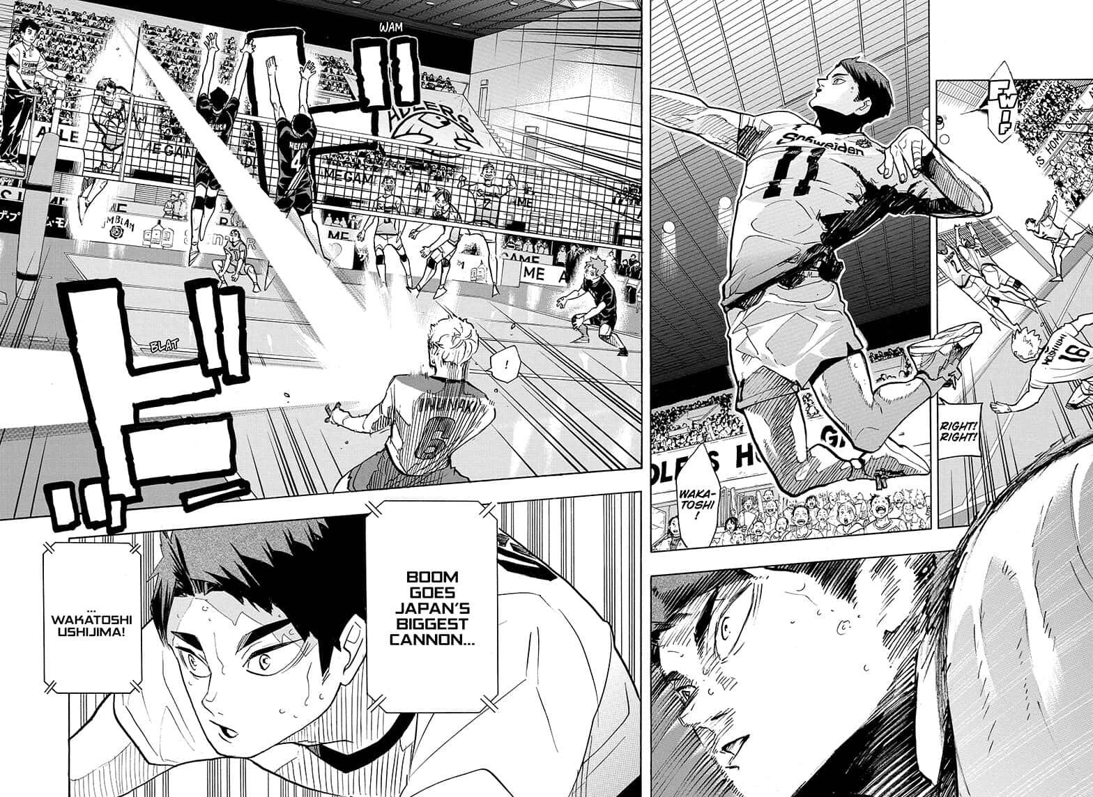 Read Haikyu!! EN Manga Online