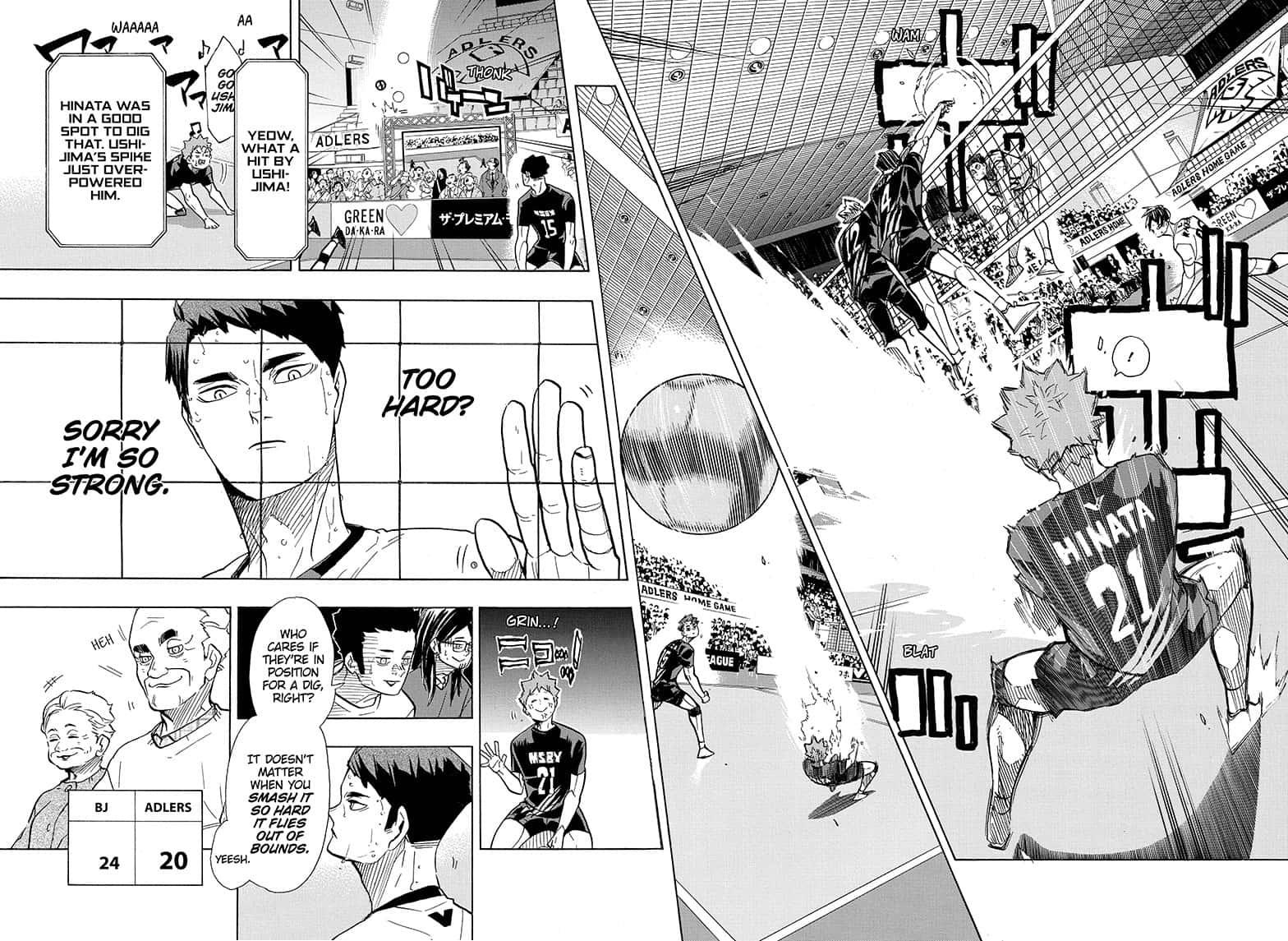 Read Haikyu!! EN Manga Online
