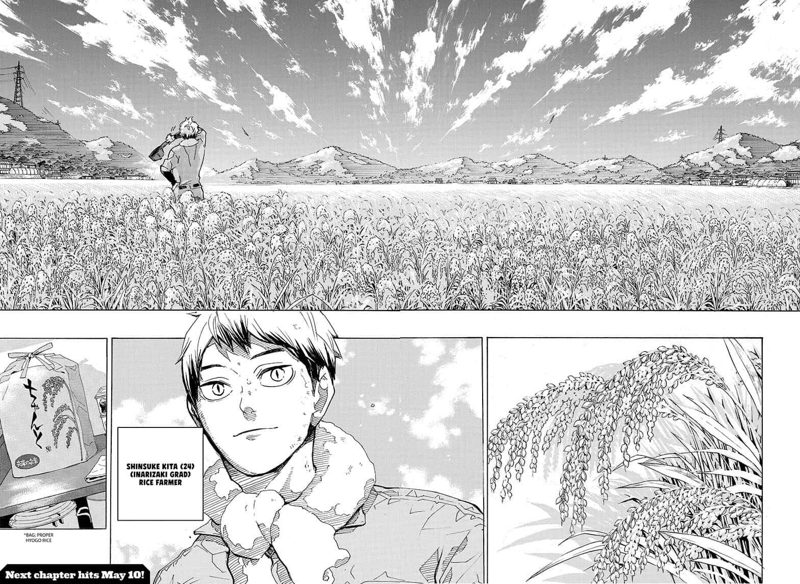 Read Haikyu!! EN Manga Online