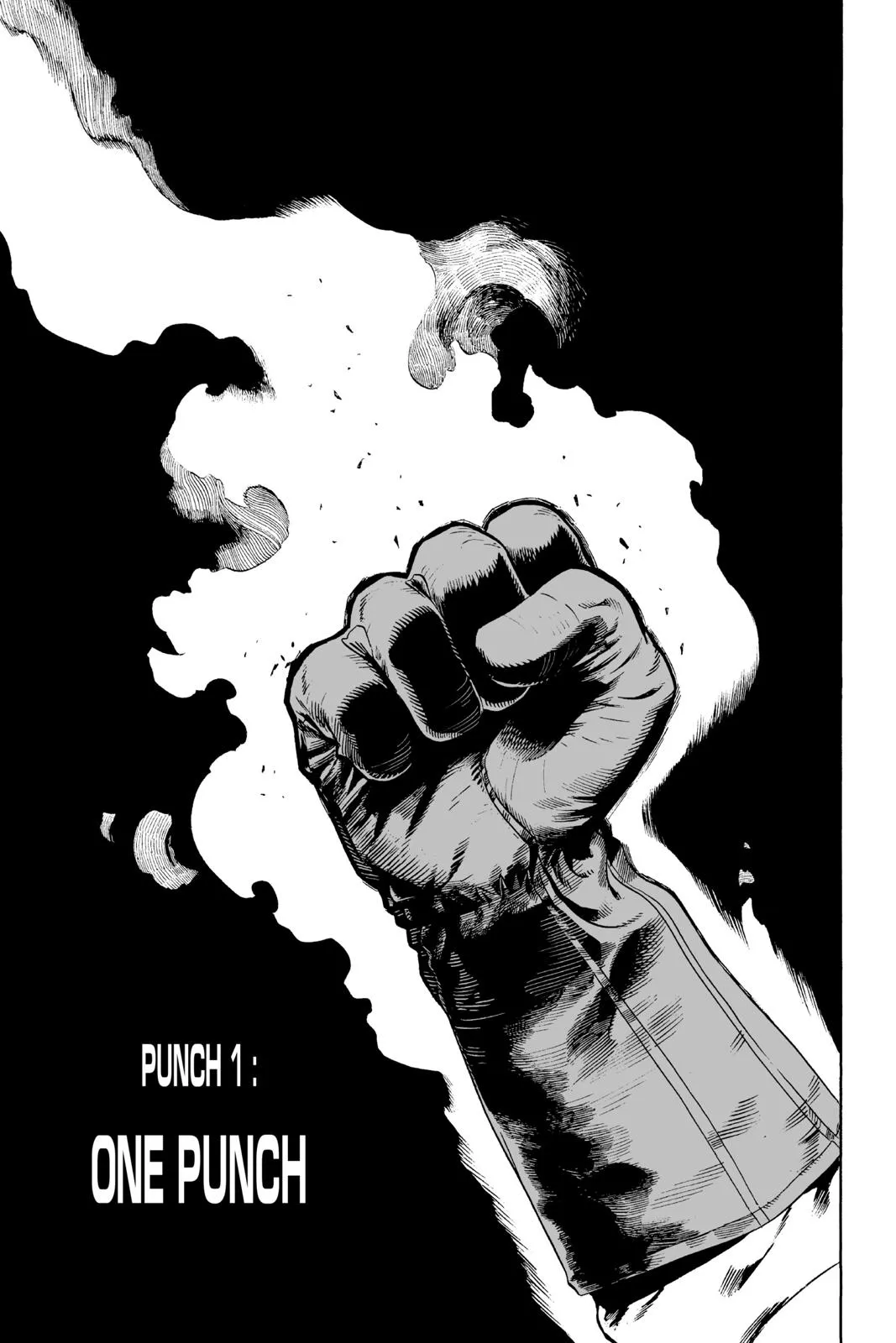 Read One Punch Man EN Manga Online