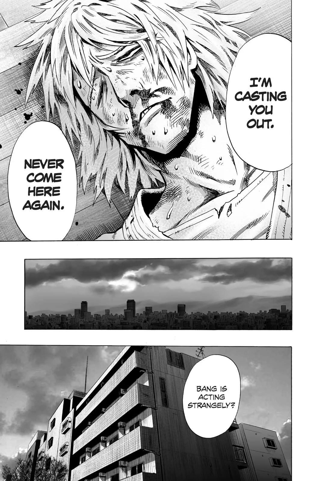 Read One Punch Man EN Manga Online