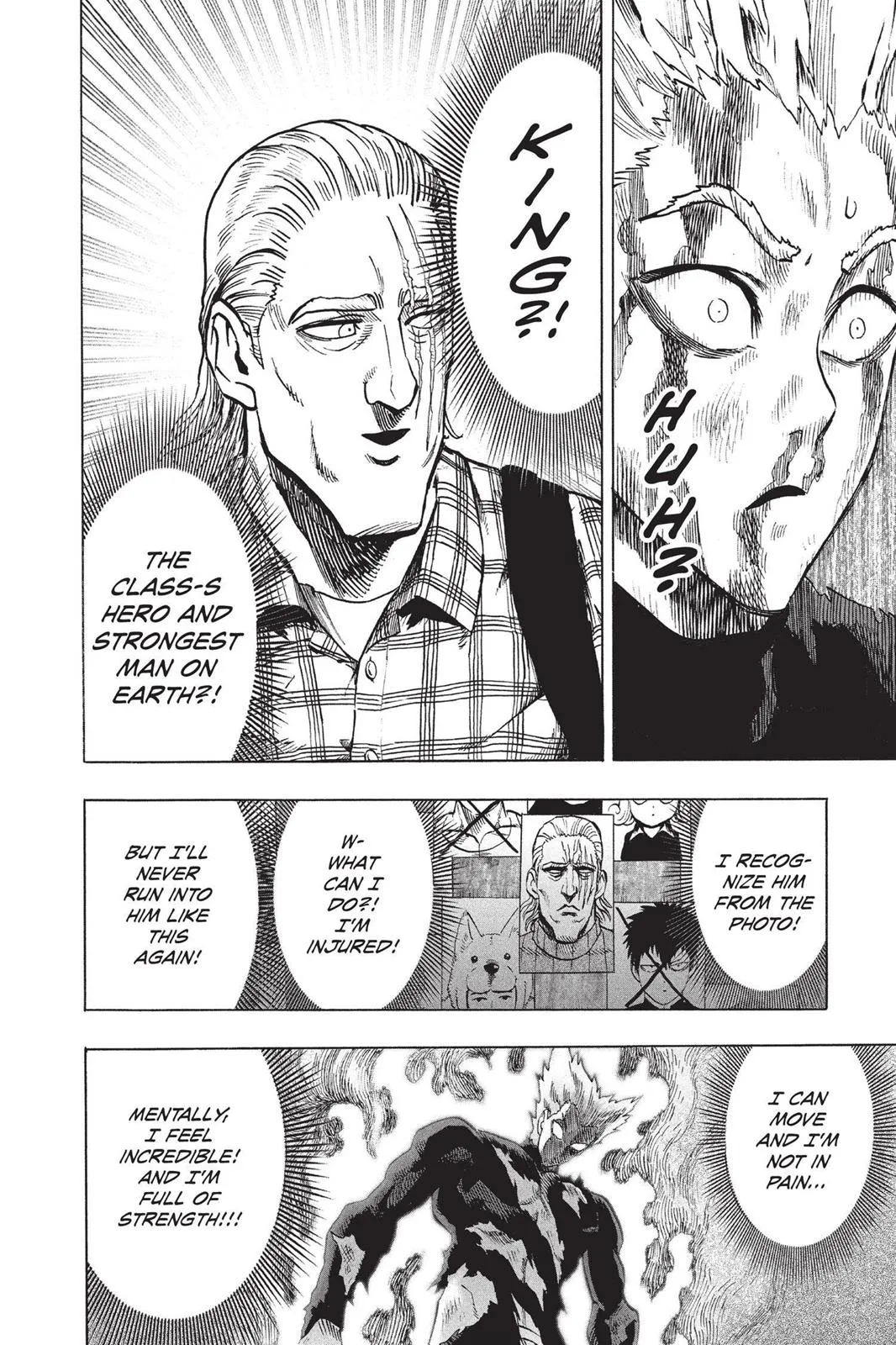 Read One Punch Man EN Manga Online