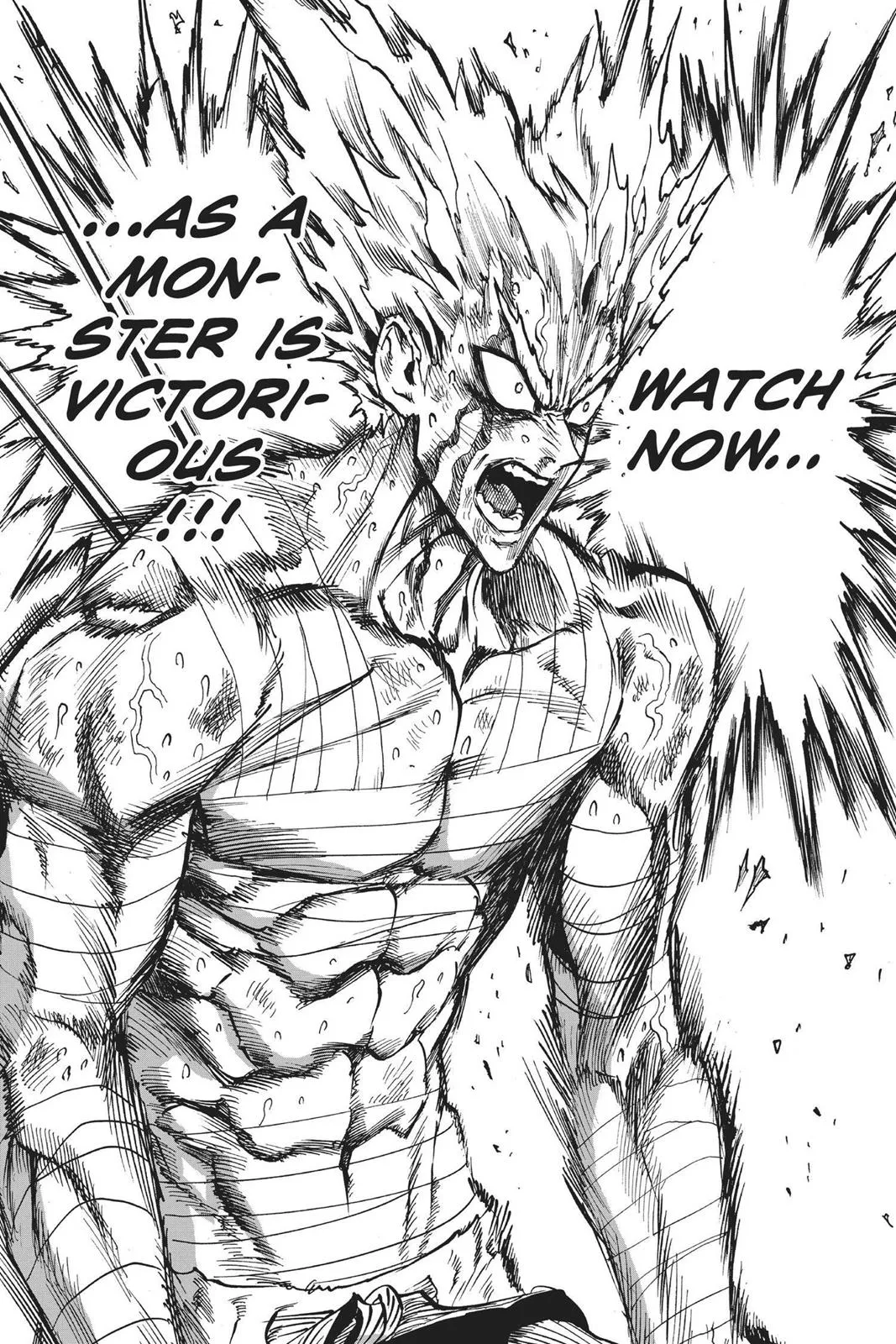 Read One Punch Man EN Manga Online
