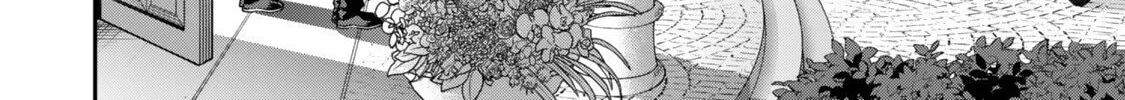 Read Stella Must Die EN Manga Online