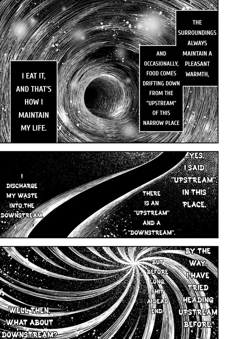 Read Stella Must Die EN Manga Online