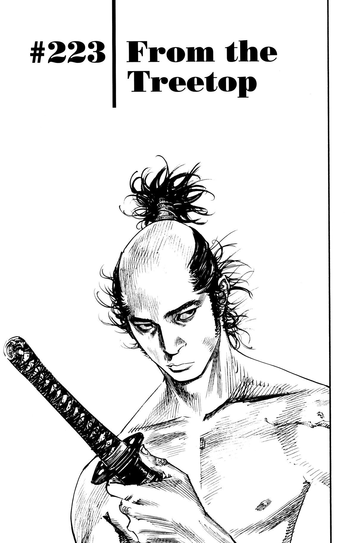 Read Vagabond EN Manga Online
