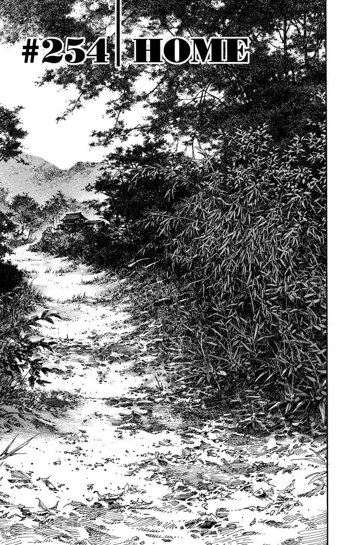 Read Vagabond EN Manga Online