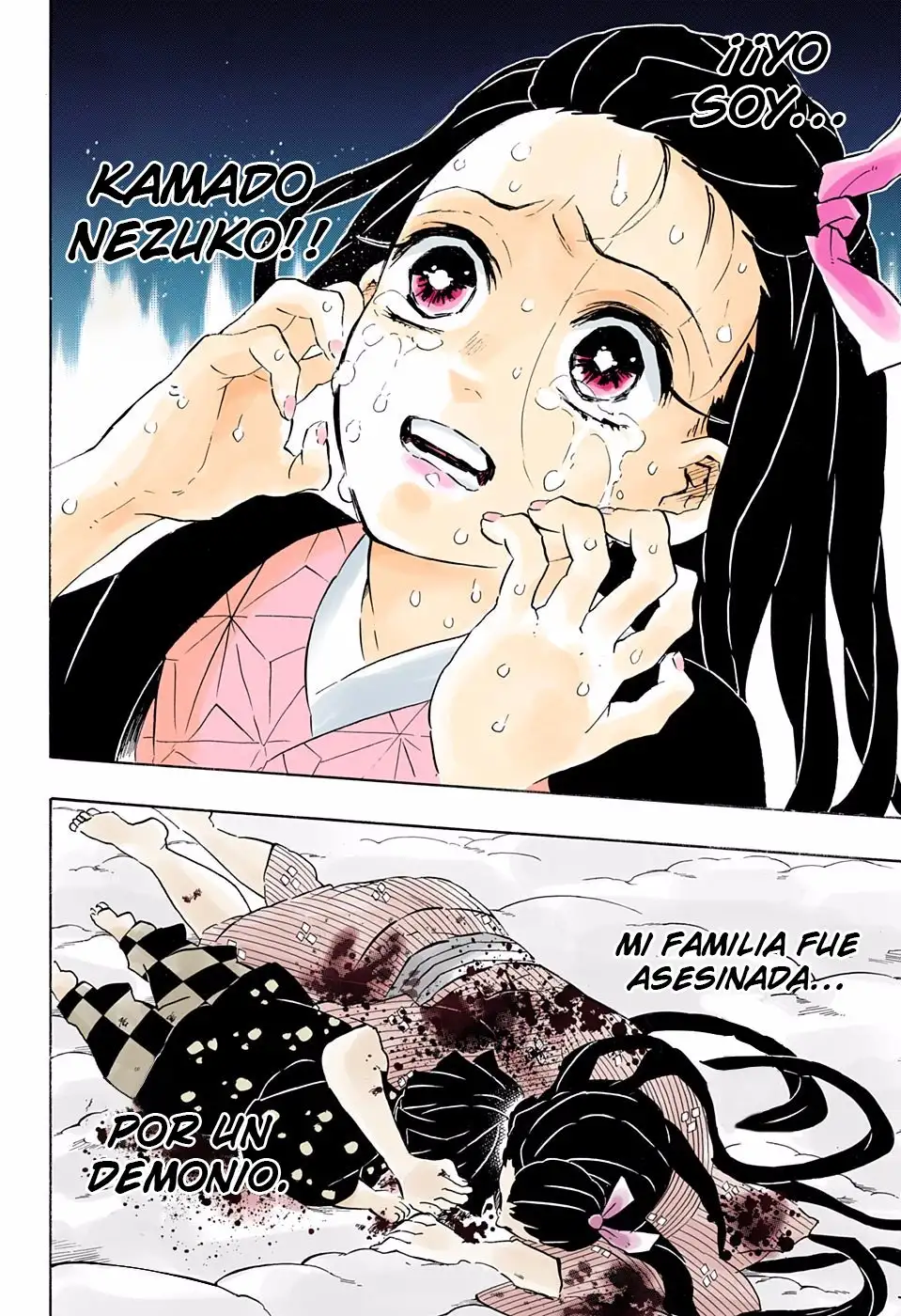 Read Demon Slayer ES Manga Online