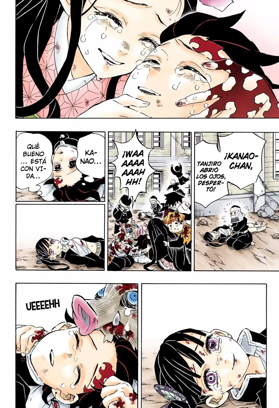 Read Demon Slayer ES Manga Online
