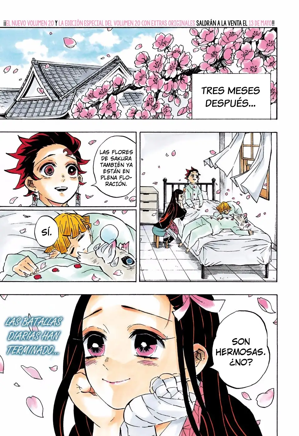 Read Demon Slayer ES Manga Online