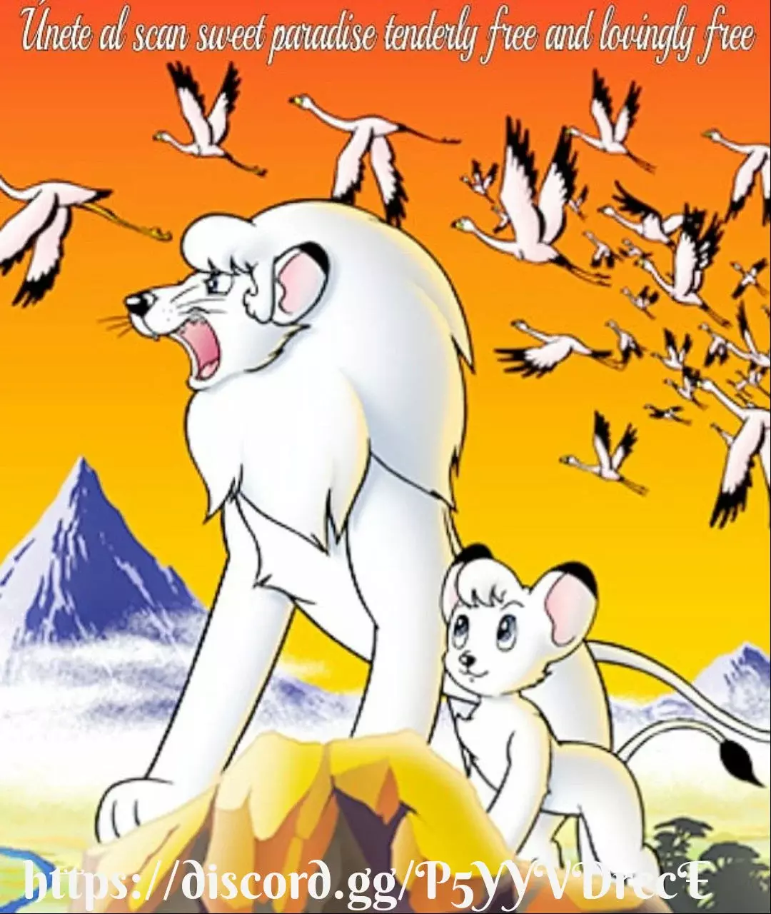 Read Digimon dreamers ES Manga Online