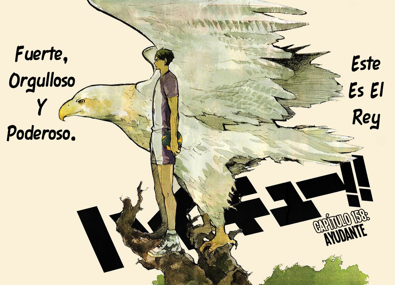 Read Haikyu!! ES Manga Online