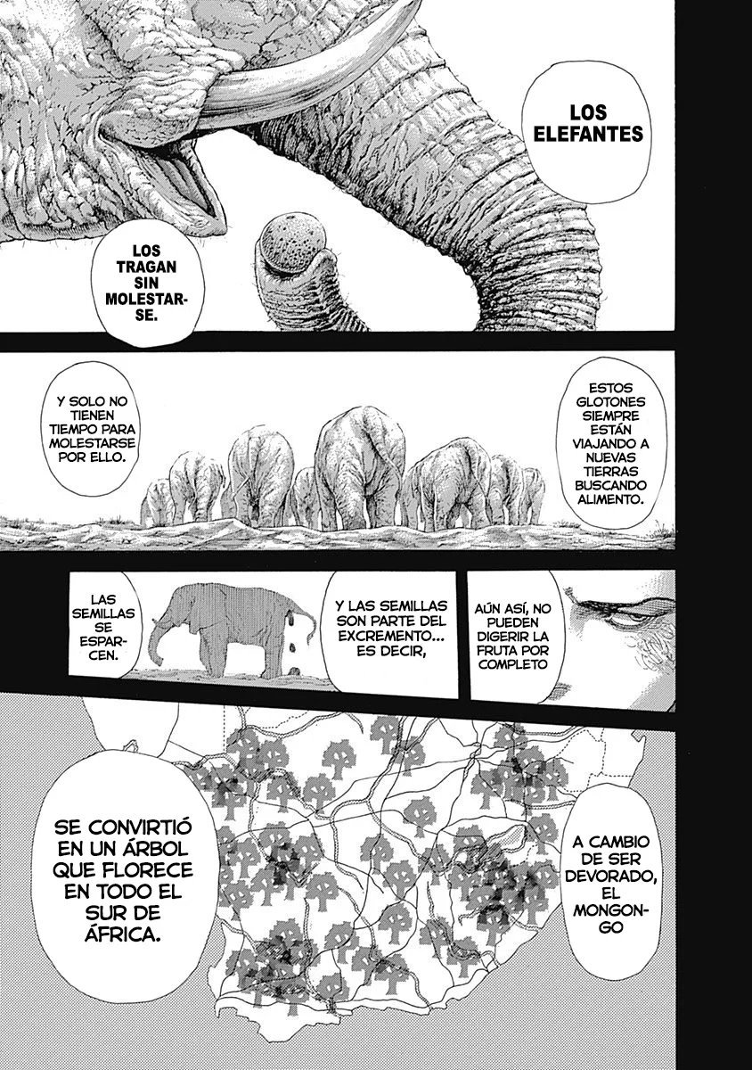 Read Usogui ES Manga Online