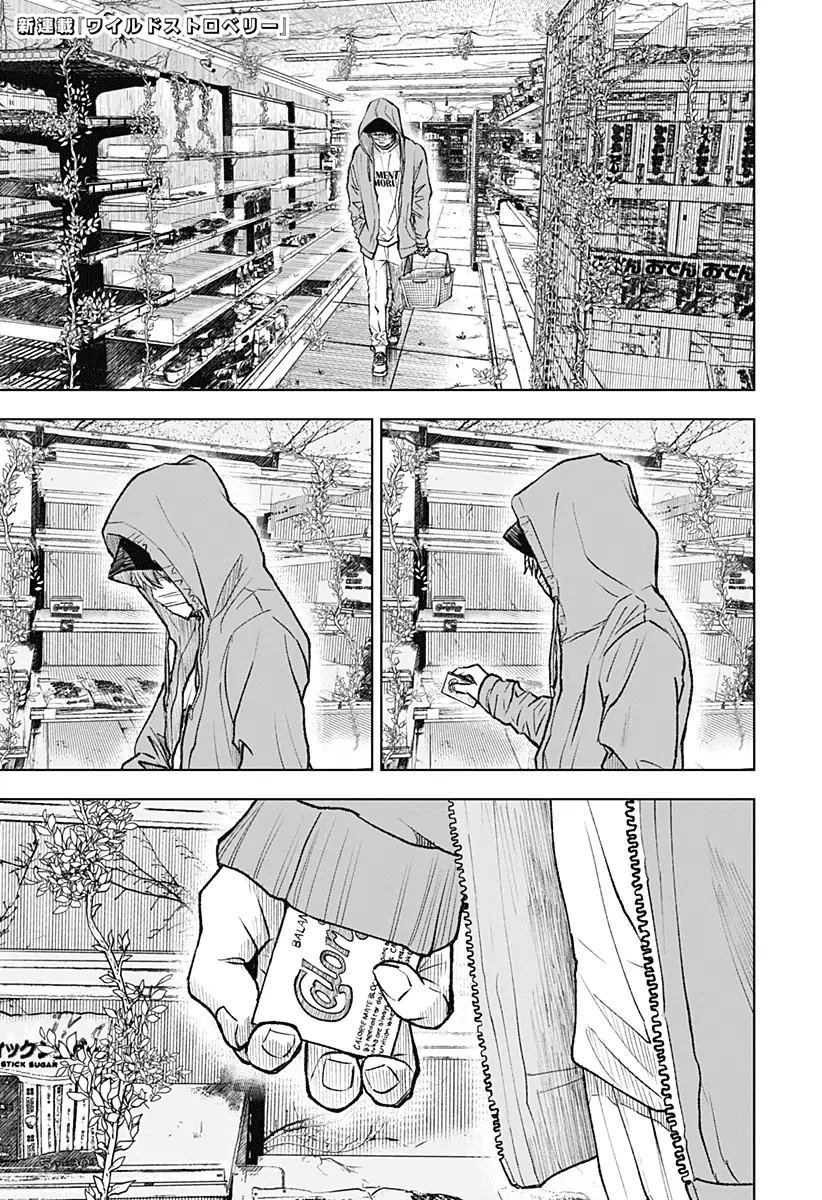 Read Wild Strawberry ES Manga Online