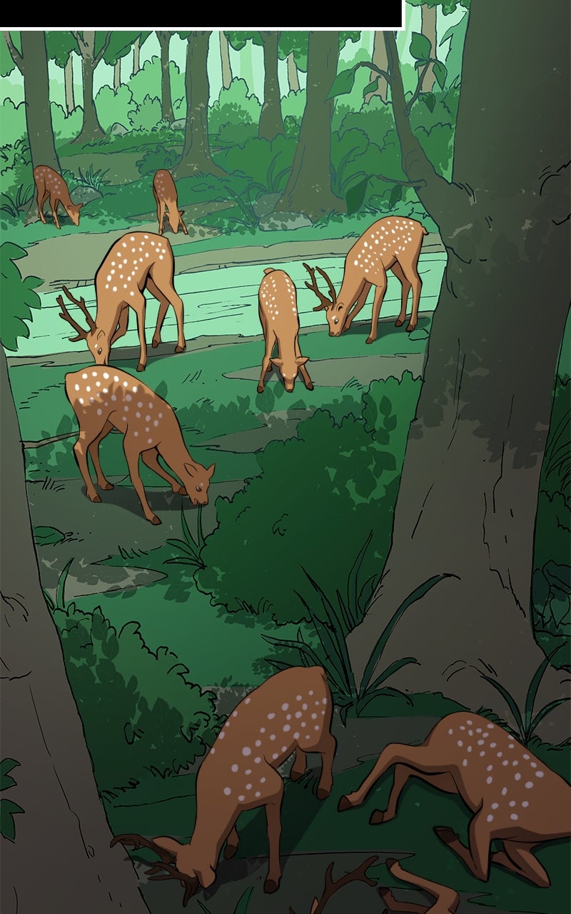 Read The Primal Hunter IT Manga Online