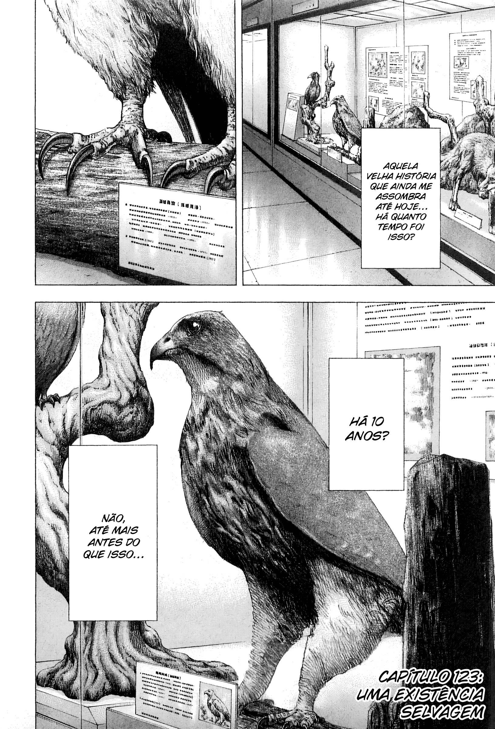 Read Usogui PT Manga Online